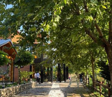 Kukes County Hotel | Shtegu I Gjelber- Wood Rooms