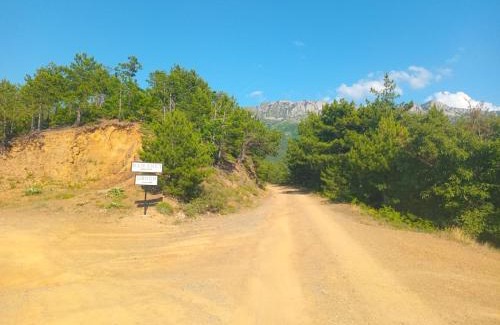Sakës Other | Shtepia e Bardhe