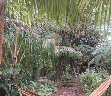 Tartane House | Shuit Bambou