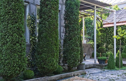 Yeghegnadzor Bed & Breakfast | Shushan B&B