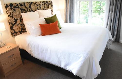 Greytown Bed & Breakfast | Shy Cottage and Studio
