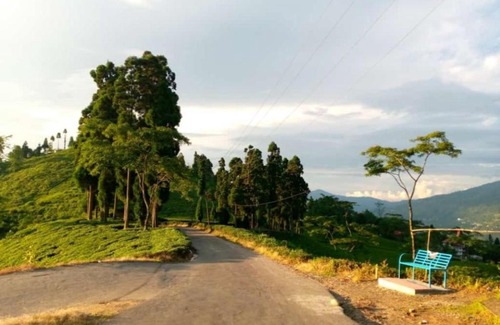 Turuk House | Shyam homestay, Rangli Bazar, Rangli Rangli o.t, Darjeeling, westbengal