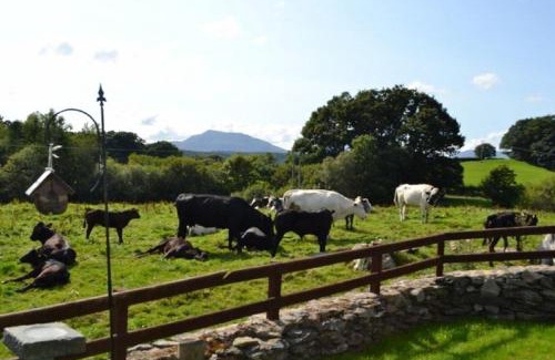 Gwynedd- Snowdonia House | Siabod, Betws y Coed, Snowdonia 2 en-suite bedrooms