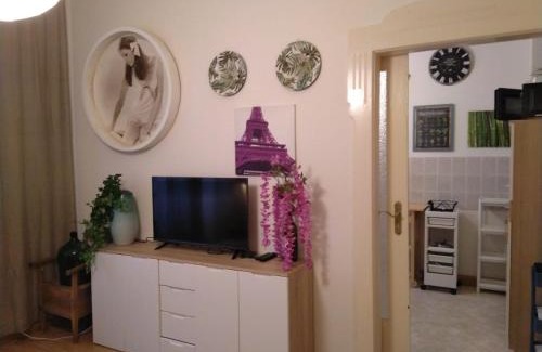 Plauen Apartment | Siegener Strasse apartment