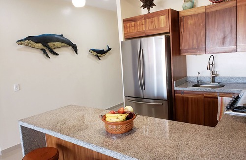 Pedregal Condo | Siempre - Amazing Ocean views of Cabo San Lucas!