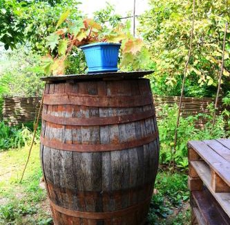 Sighnaghi House | Sighnaghi Inn