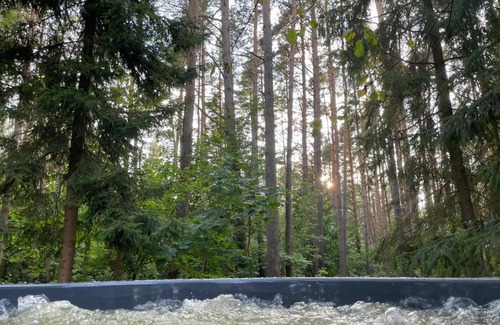 Vilnius County House | Sigito Masiulionio sodyba - Miško namelis