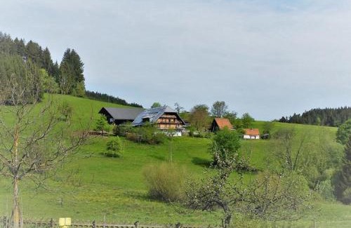 Schonach im Schwarzwald Apartment | Sigmundenhof