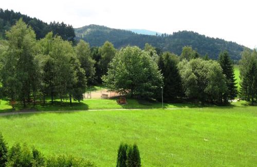 Gutach im Breisgau Hotel | Silberkönig Schwarzwald Hotel & Restaurant Ringhotel