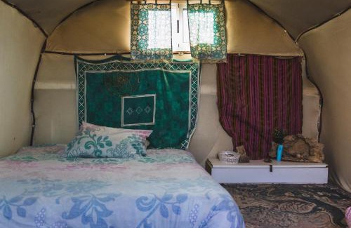Mitzpe Ramon Other | Silent Arrow