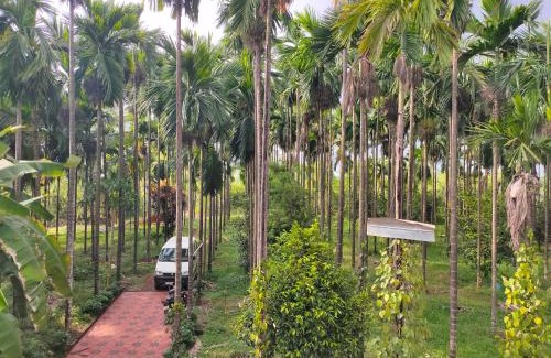 Mandarthi House | Silent River Homestay