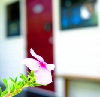 Parlatuvier House | Silk Cotton Cottages