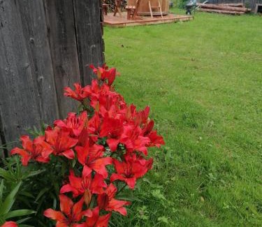 Valga House | Sillavahi maja