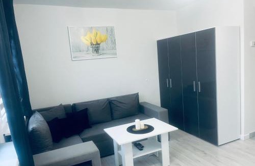 Katowice Apartment | Silver Apartament Katowice