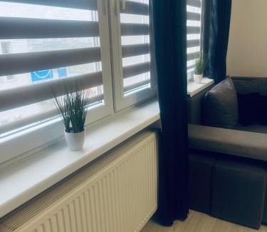 Katowice Apartment | Silver Apartament Katowice