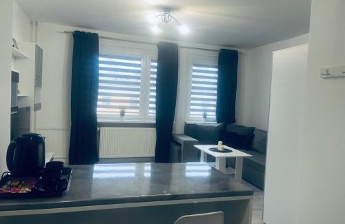 Katowice Apartment | Silver Apartament Katowice