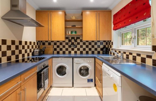 Glen Urquhart House | Silver Birch by Interhome
