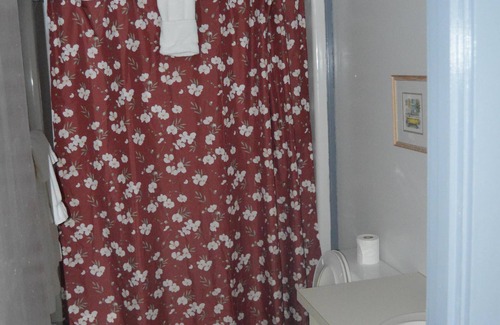 Snowshoe Condo | Silver Creek 1707 - 2 Bdrm Condo, No Cleaning Fee, A/C, Pool & Hot Tub