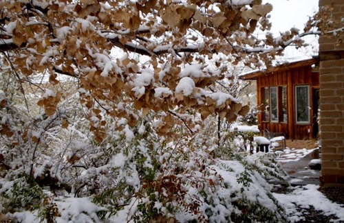 Farmington Bed & Breakfast | Silver River Adobe Inn Bed and Breakfast
