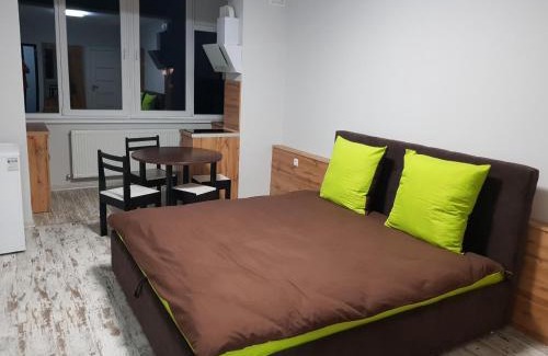 Uzhhorod Apartment | Silver Star Apartment 40b