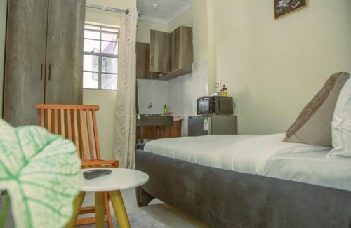 Nanyuki Apartment | Silver Studios with WIFI & Netflix