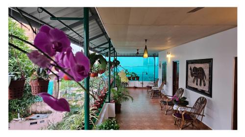 Thamaraparambu House | Silverweed homestay