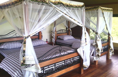 Ololaimutiek Other | Simba & Oryx Nature Camp