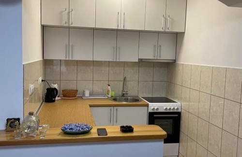 Bijeljina Apartment | SIMIKIC Z