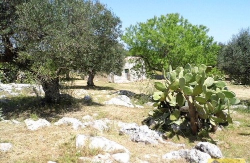 Taviano House | Simona holiday home.