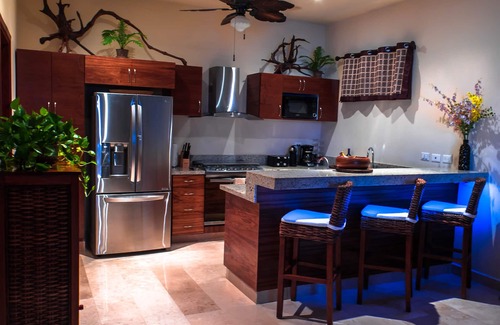 Akumal Condo | Simply Akumal's Best! Luxury Beachfront Penthouse w/Infinity Pool, Rooftop.