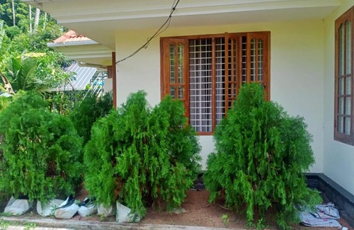 Alappuzha House | Sinai Homestay
