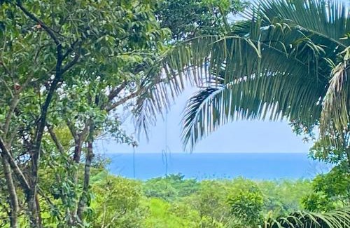 Savegre House | Sinfonía Tropical, ocean view, 5 minutes driving to Playa Linda, 15 to Dominical, wifi Starlink