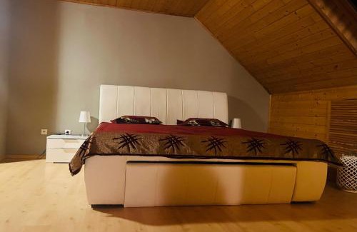 Troisdorf-Friedrich-Wilhelms-Hutte House | Singh
