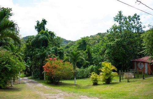 Port Antonio House | Sinopia Inn