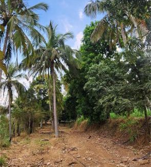 Kanakapura Other | Siridhama Farm