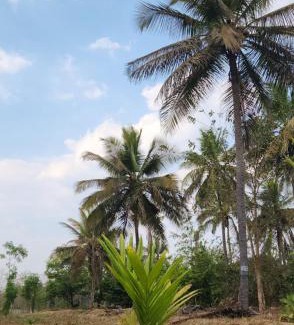 Kanakapura Other | Siridhama Farm
