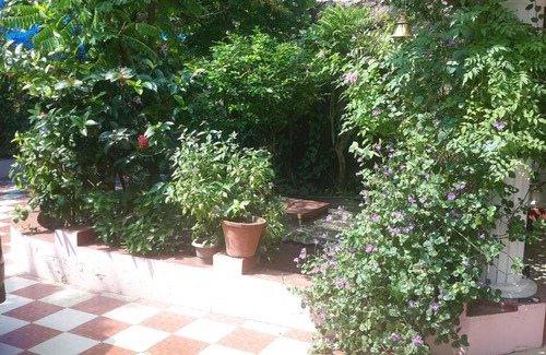 Fort Kochi House | Sithara Homestay Fort Cochin