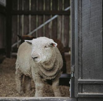 Woombye House | Sixty6 Acres Sunshine Coast farmstay