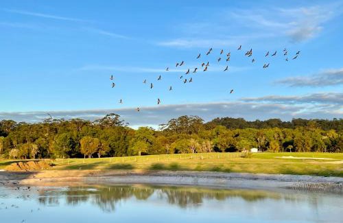 Woombye House | Sixty6 Acres Sunshine Coast farmstay