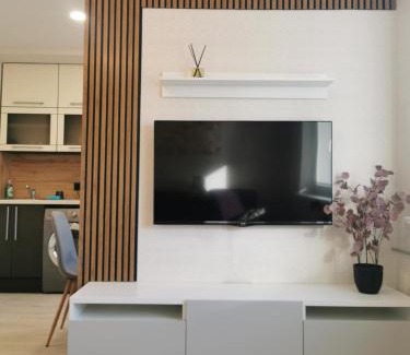 Plunge Apartment | SK apartament