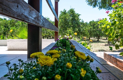 Gythio House | Skala Cottage holiday under the sun