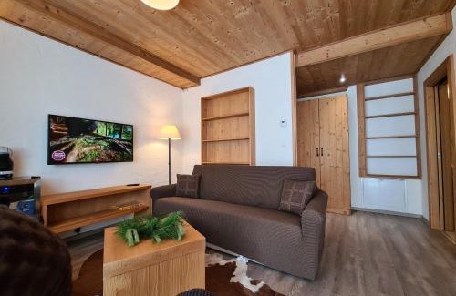 Jasna Apartment | SKALA JASNÁ - Free Jacuzzi & Finnish Sauna