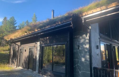 Tanndalen Villa | Skarvruet Lodge Funäsdalen