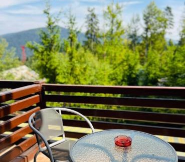 Sinaia House | Ski Chalet Sinaia