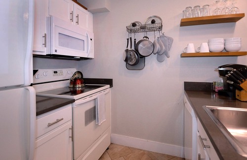 Crested Butte Condo | Ski in/Bike out, Updated, 2BD/2BA Emmons Condo, ski in/ski out