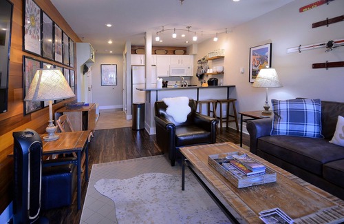 Crested Butte Condo | Ski in/Bike out, Updated, 2BD/2BA Emmons Condo, ski in/ski out