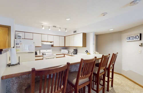 Ludlow Condo | Ski-In/Out condo with patio, mountain views, washer/dryer, & cable