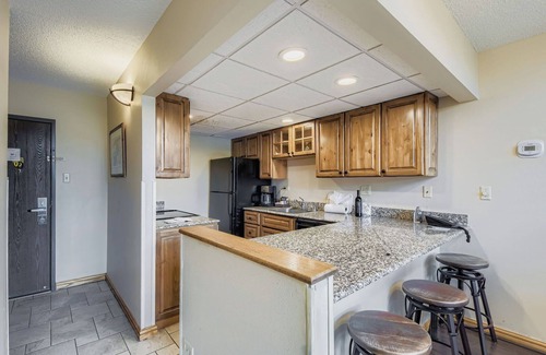 Peak 9 Condo | Ski In/Ski Out 2BR Condo, Beaver Run, Dog Friendly