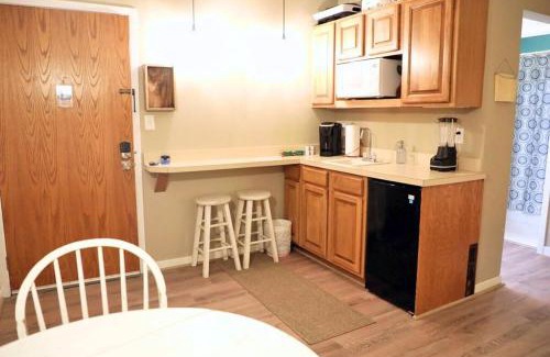 Mancelona Apartment | Ski In Ski Out - Sleeps 6 - Bring the family!