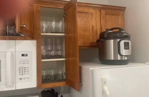 Snowshoe Apartment | Ski-In/Ski-Out Snowshoe Mountain Retreat